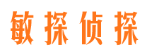 景东侦探公司